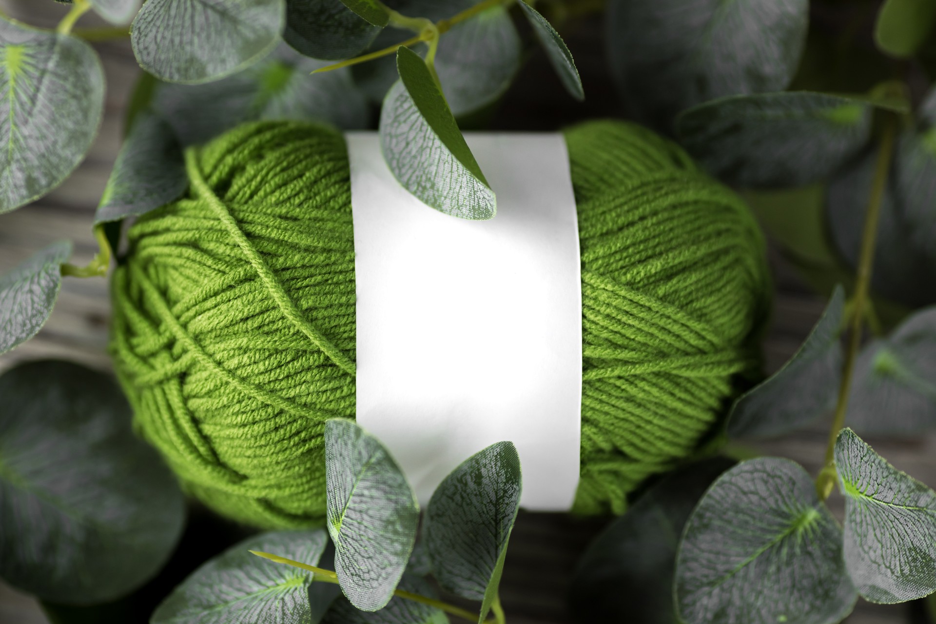 a ball of green thread for knitting lies in the green leaves of eucalyptus. layout of yarn manufacturers on a wooden background.